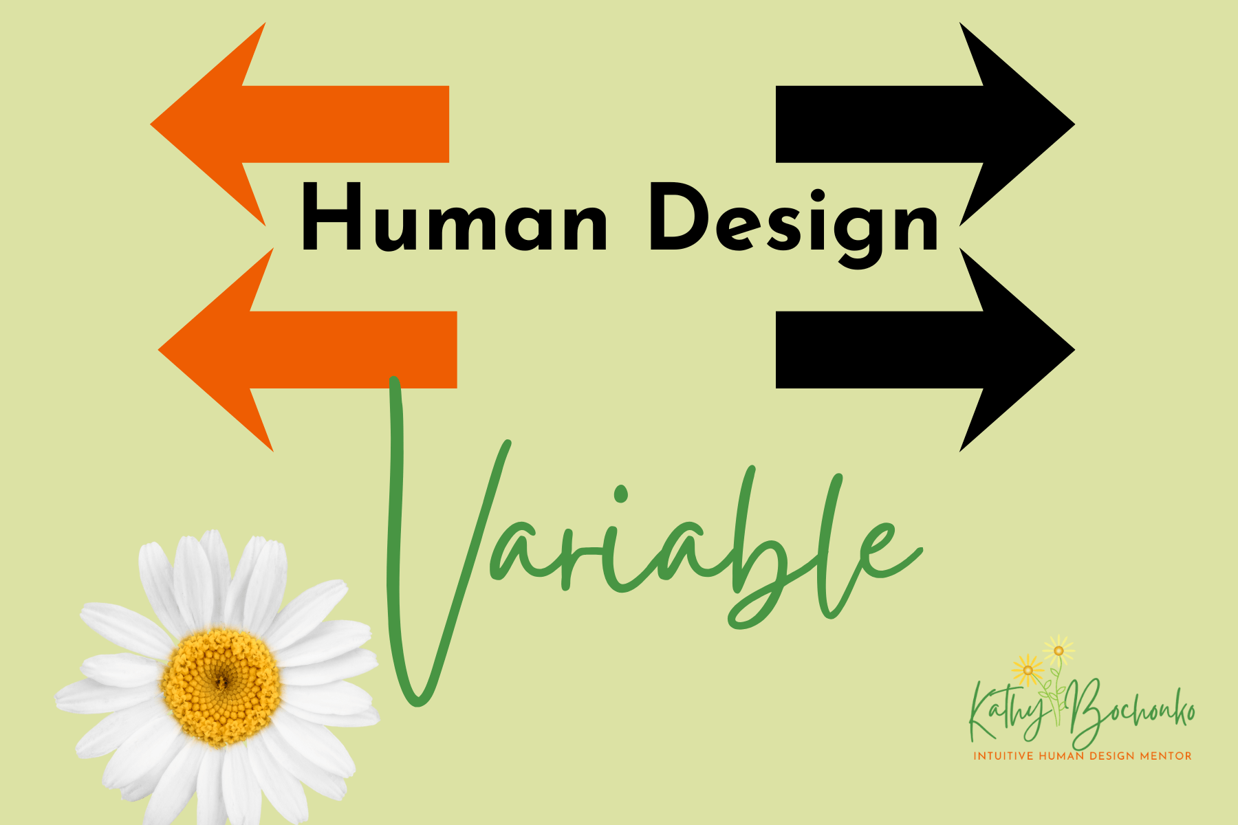 What Is Human Design Variable? A Guide to the Four Arrows